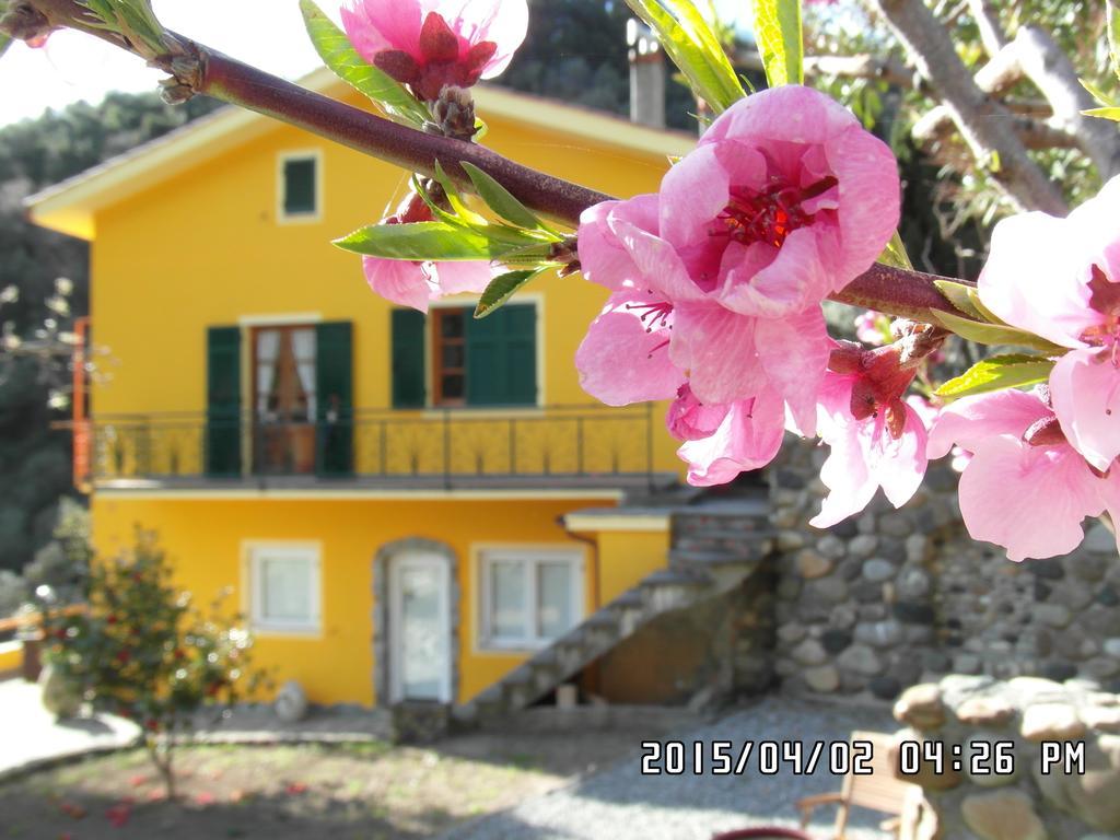 哥斯达黎加迪坎普农庄住宿加早餐旅馆 韦尔纳扎 外观 照片
