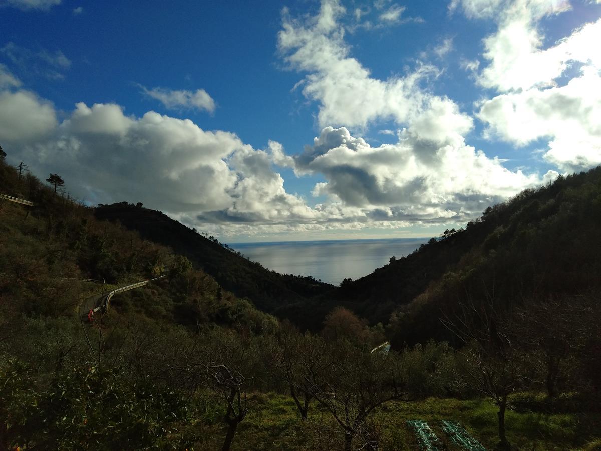 哥斯达黎加迪坎普农庄住宿加早餐旅馆 韦尔纳扎 外观 照片